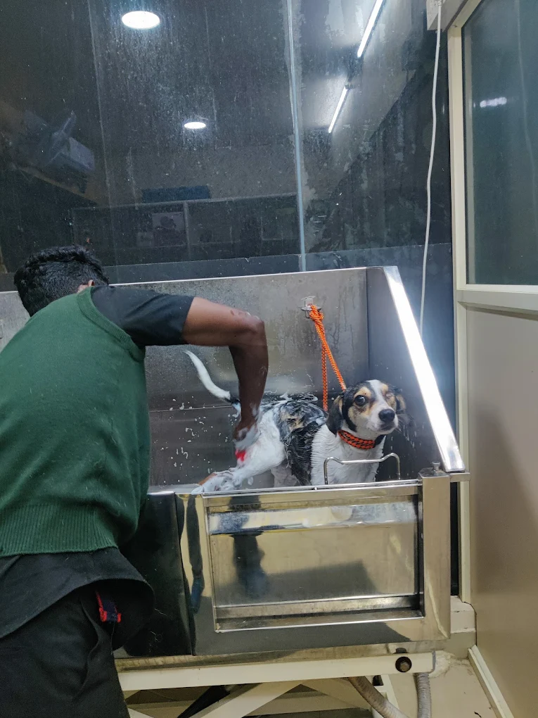 CHARLIE’S PET CARE CENTRE Veterinary Clinic in Banaswadi, Bengaluru — Facility Photo 8