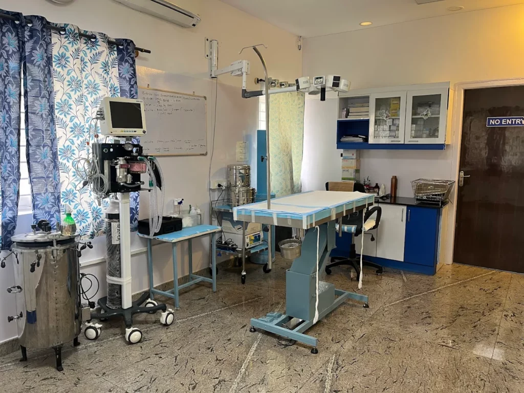 Cancure Pet Hospital Kacharakanahalli Veterinary Clinic in Kacharakanahalli, Bengaluru — Facility Photo 8