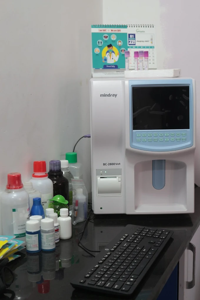 Cancure Pet Hospital Kacharakanahalli Veterinary Clinic in Kacharakanahalli, Bengaluru — Facility Photo 4