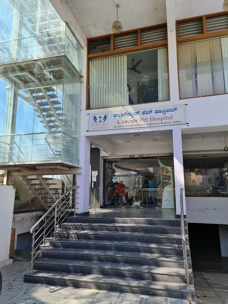 Cancure Pet Hospital Kacharakanahalli - Pet Clinic in Kacharakanahalli, Bengaluru