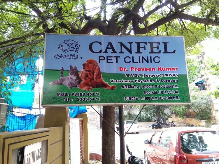 Canfel Pet Clinic, Punjagutta - Pet Clinic in Punjagutta, Hyderabad