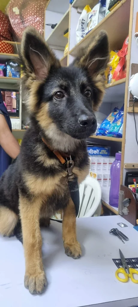 Canis Pet Clinic, Sainikpuri Veterinary Clinic in Sainikpuri, Hyderabad — Facility Photo 2