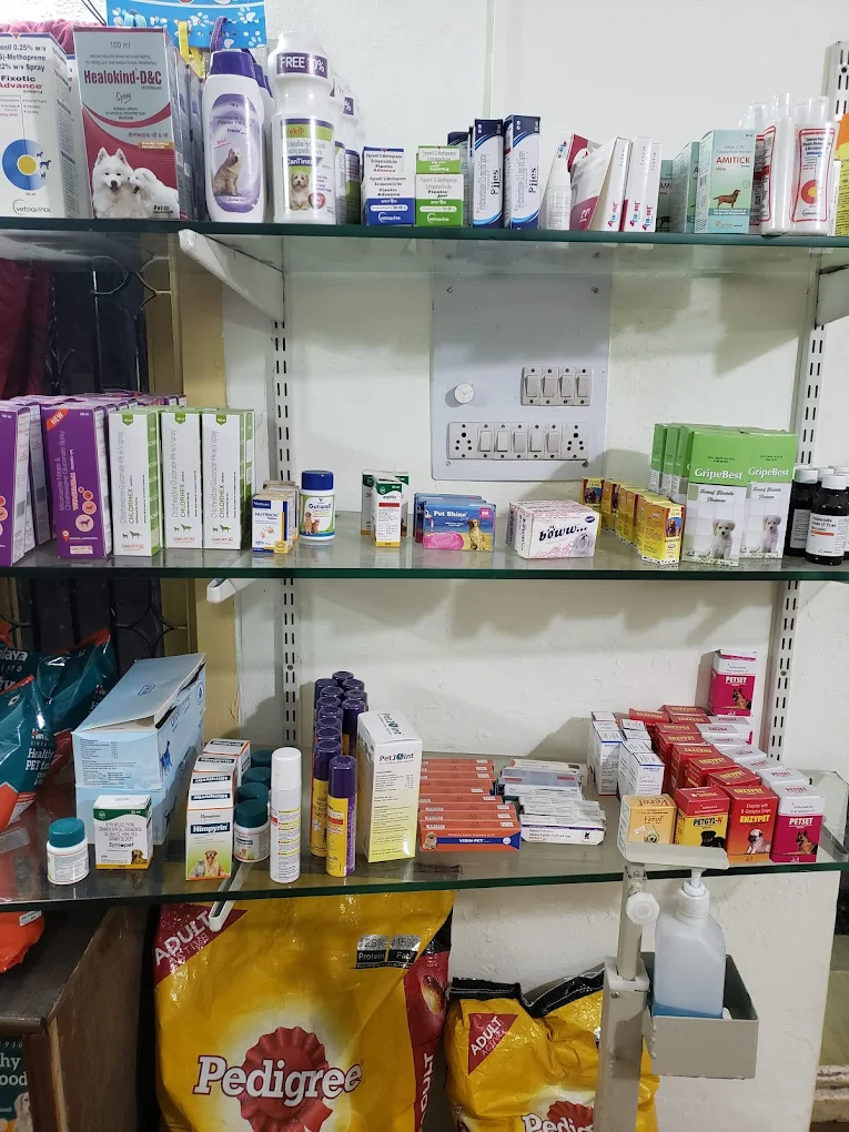 Canis Petz Clinic, Vikrampuri Veterinary Clinic in Karkhana, Hyderabad — Facility Photo 5