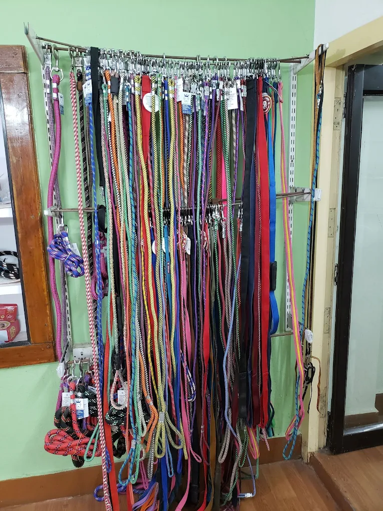 Canis Petz Clinic, Vikrampuri Veterinary Clinic in Karkhana, Hyderabad — Facility Photo 3