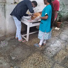 Canis Petz Clinic, Vikrampuri Veterinary Clinic in Karkhana, Hyderabad — Facility Photo 6