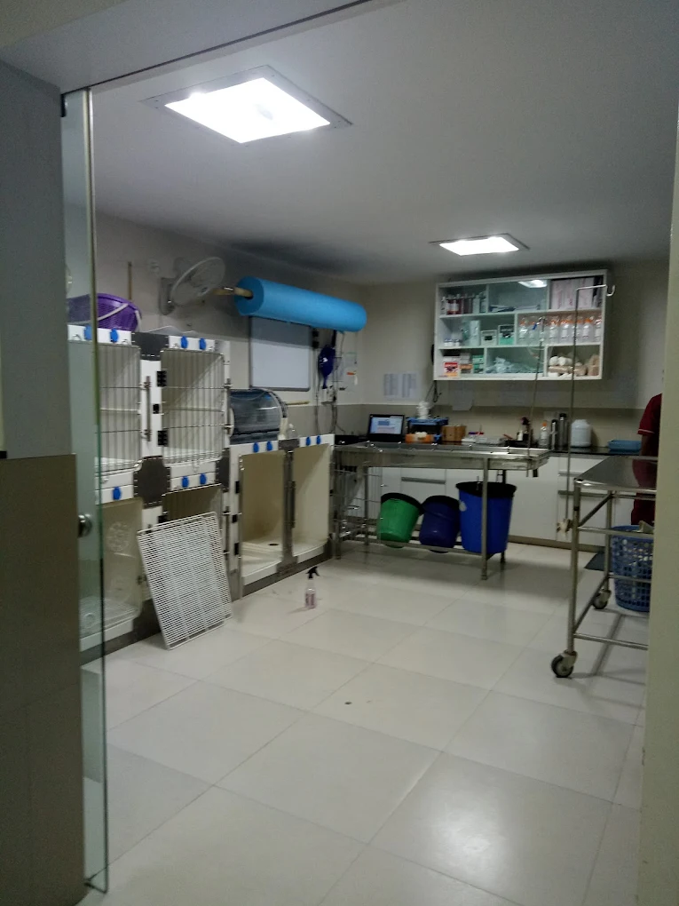 Cessna Lifeline Veterinary Hospital, Domlur Veterinary Clinic in Domlur, Bengaluru — Facility Photo 8