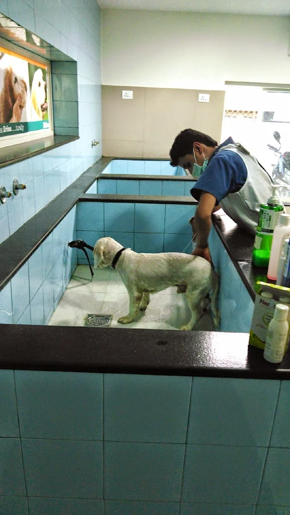 Cessna Lifeline Veterinary Hospital, Domlur Veterinary Clinic in Domlur, Bengaluru — Facility Photo 9