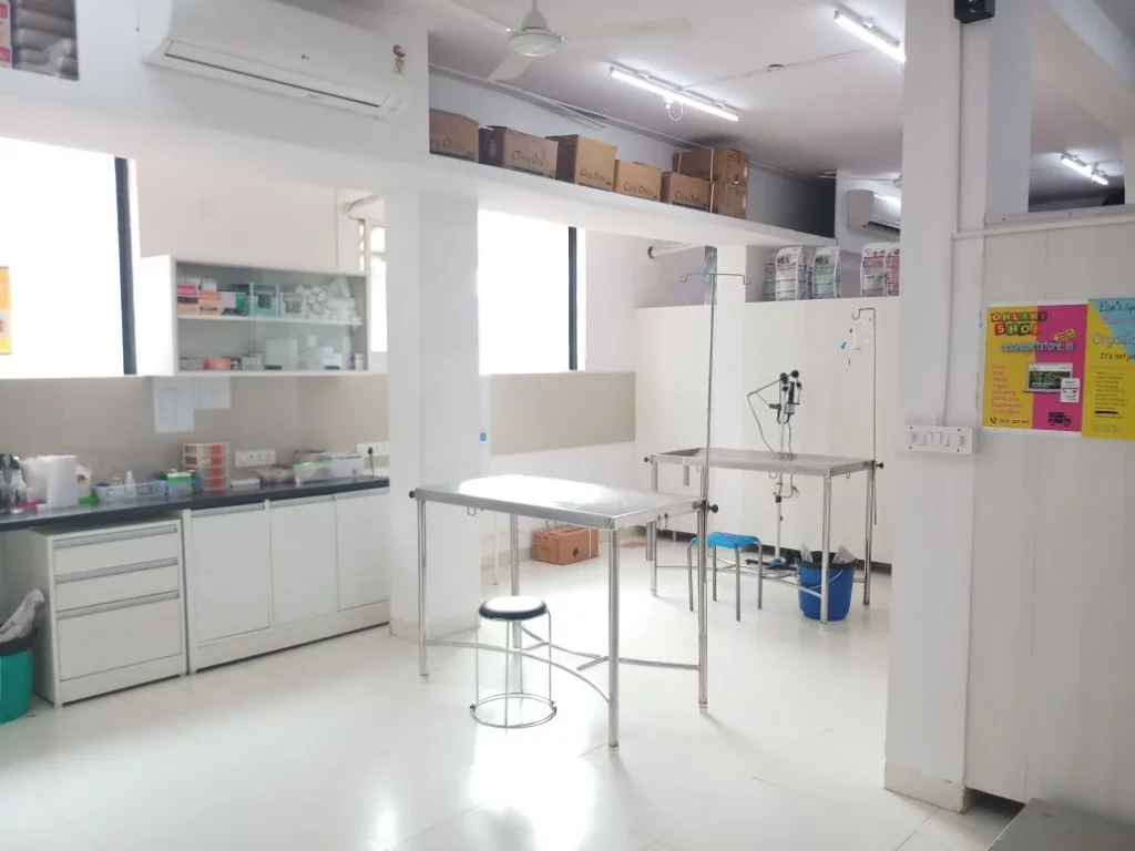 Cessna Lifeline Veterinary Hospital, Hosur Main Road Veterinary Clinic in Singasandra, Bengaluru — Facility Photo 9
