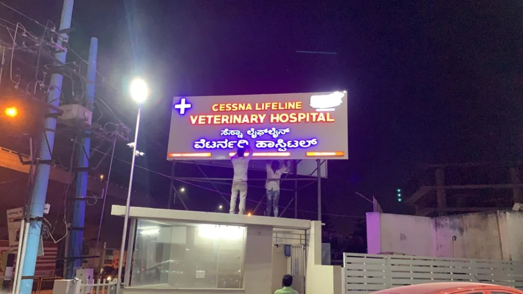 Cessna Lifeline Veterinary Hospital, Hosur Main Road Veterinary Clinic in Singasandra, Bengaluru — Facility Photo 11