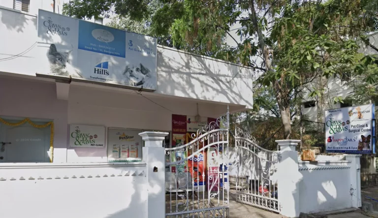 Claws & Paws Pet Clinic BanjaraHills - Pet Clinic in Banjara Hills, Hyderabad