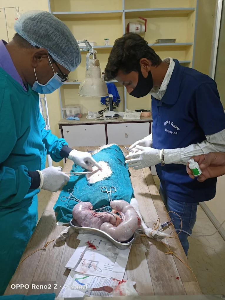 Dr. Atul’s Vet N Pet Veterinary Clinic in Bowenpally, Hyderabad — Facility Photo 3