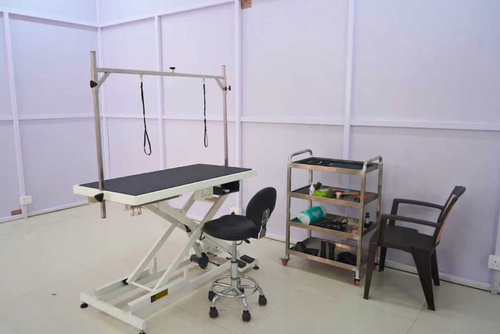 Divine Paws Veterinary Clinic Veterinary Clinic in Bolarum, Hyderabad — Facility Photo 7