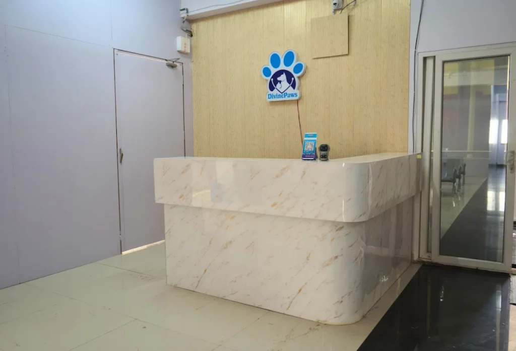 Divine Paws Veterinary Clinic Veterinary Clinic in Bolarum, Hyderabad — Facility Photo 4