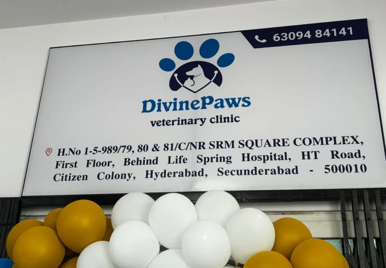 Divine Paws Veterinary Clinic - Pet Clinic in Bolarum, Hyderabad