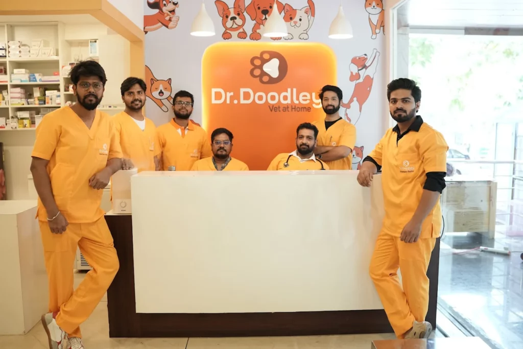 Dr. Doodley Pet Hospital Jayanagar Veterinary Clinic in Jayanagar, Bengaluru — Facility Photo 3