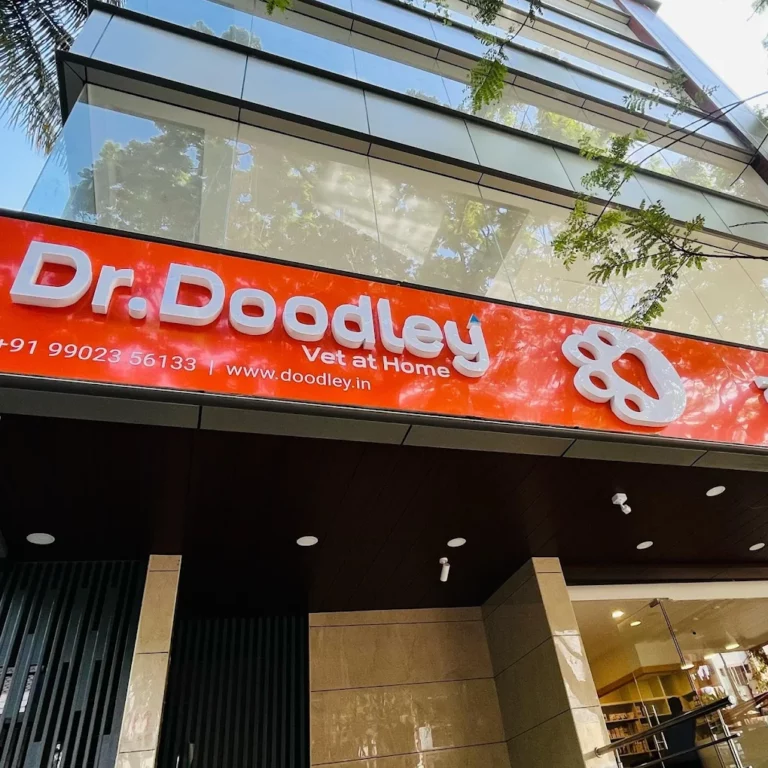 Dr. Doodley Pet Hospital Jayanagar - Pet Clinic in Jayanagar, Bengaluru