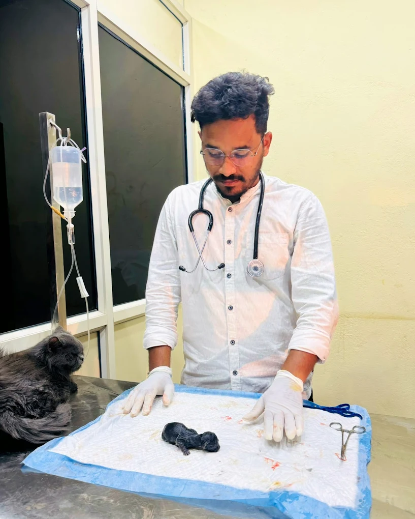 Dr. Paws Pet & Animal Clinic, East Marredpally Veterinary Clinic in East Marredpally, Hyderabad — Facility Photo 4
