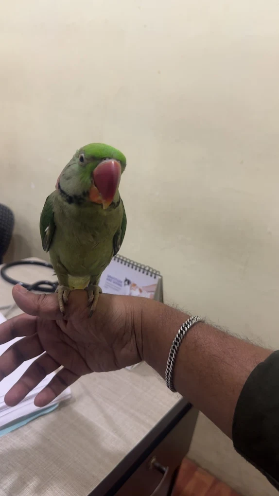Dr. Paws Pet & Animal Clinic, East Marredpally Veterinary Clinic in East Marredpally, Hyderabad — Facility Photo 3