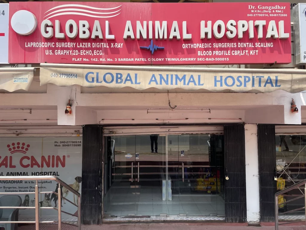 Global Animal Hospital, Tirumalagiri Veterinary Clinic in Tirumalagiri, Hyderabad — Entrance/Facility Photo