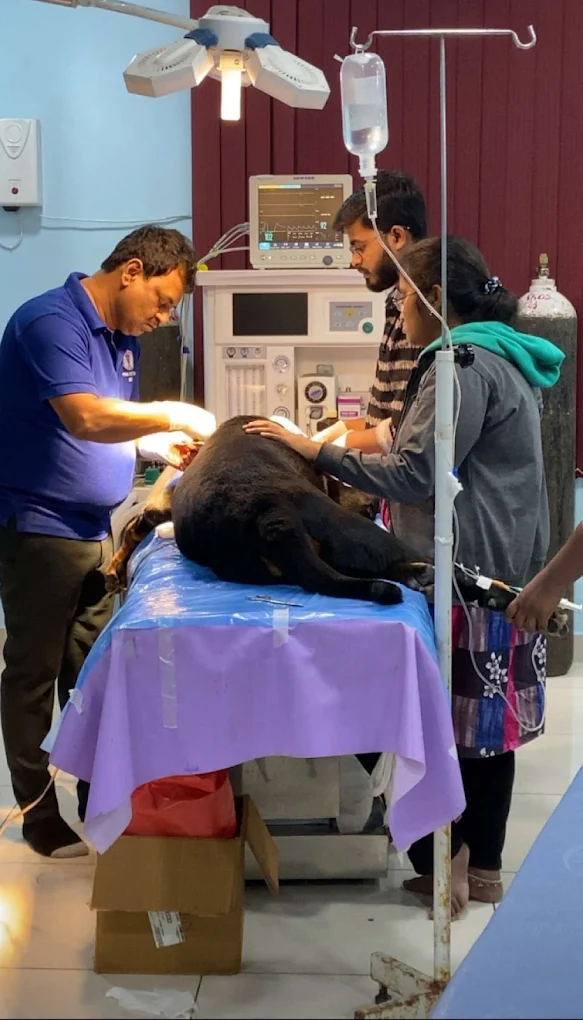 Global Animal Hospital, Tirumalagiri Veterinary Clinic in Tirumalagiri, Hyderabad — Facility Photo 4