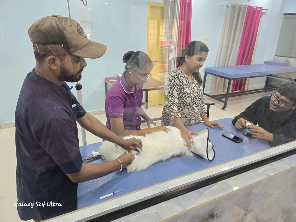 Global Animal Hospital, Tirumalagiri Veterinary Clinic in Tirumalagiri, Hyderabad — Facility Photo 2