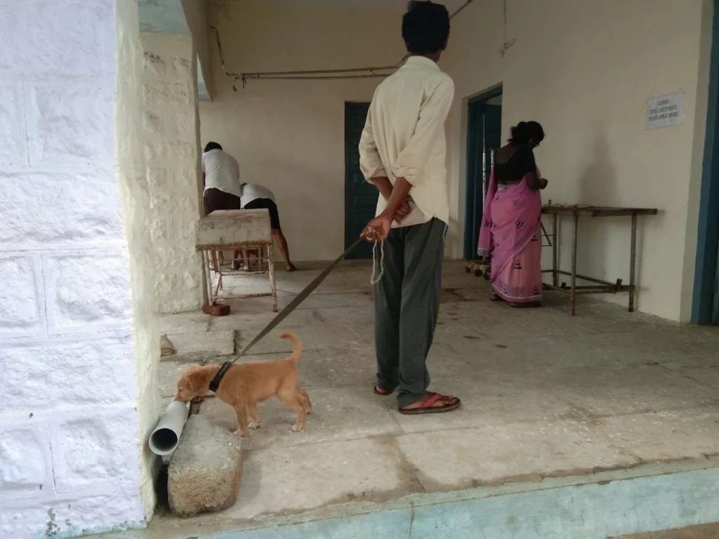 Government Veterinary Dispensary, Alwal Veterinary Clinic in Alwal, Hyderabad — Facility Photo 2