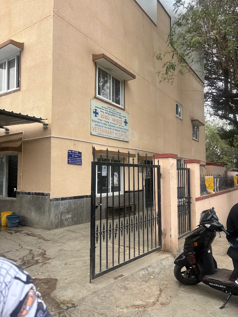 Government Veterinary Hospital, Gavipuram Veterinary Clinic in Kempegowda Nagar, Bengaluru — Facility Photo 2