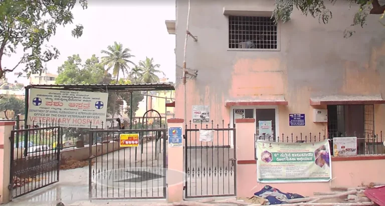Government Veterinary Hospital, Gavipuram - Pet Clinic in Kempegowda Nagar, Bengaluru