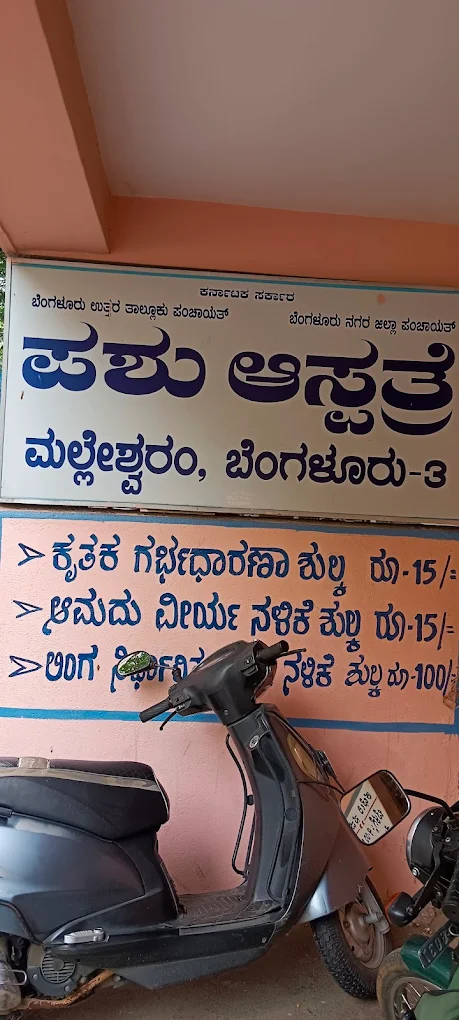 Government Veternary Hospital, Malleshwaram Veterinary Clinic in Malleshwaram, Bengaluru — Facility Photo 4