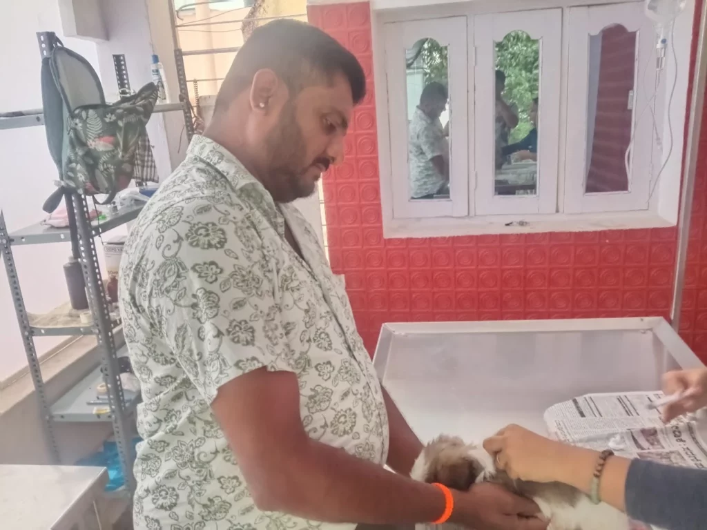 Haarshithaa Pets Clinic Veterinary Clinic in Banashankari, Bengaluru — Facility Photo 2