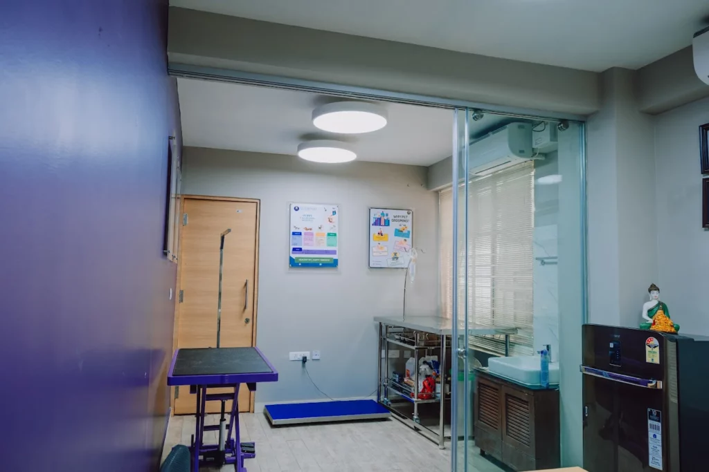Hallmark Veterinary Pet Clinic By PawsnCollars Veterinary Clinic in HSR Layout, Bengaluru — Facility Photo 5