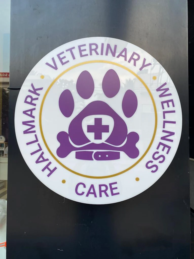Hallmark Veterinary Pet Clinic By PawsnCollars Veterinary Clinic in HSR Layout, Bengaluru — Facility Photo 4