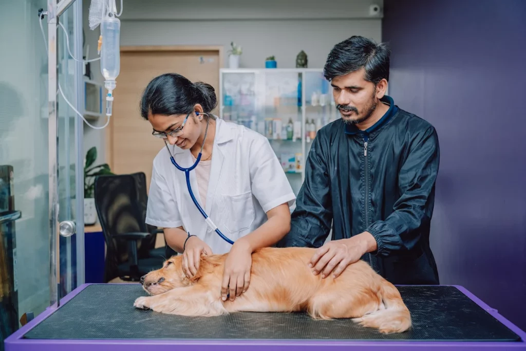 Hallmark Veterinary Pet Clinic By PawsnCollars Veterinary Clinic in HSR Layout, Bengaluru — Facility Photo 2