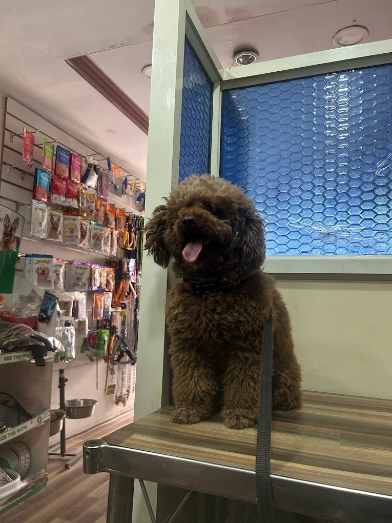 Heal Animal Clinic Veterinary Clinic in Habsiguda, Hyderabad — Facility Photo 4