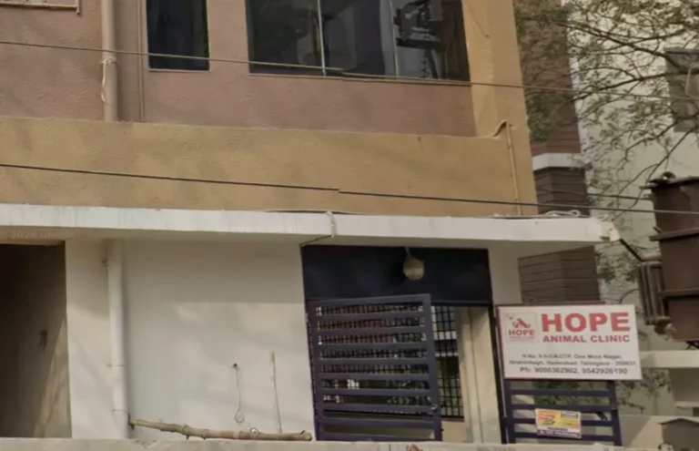 Hope Animal Clinic - Pet Clinic in Ibrahim Bagh, Hyderabad