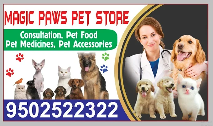Magic Paws Pet Clinic, Yapral Veterinary Clinic in Yapral, Hyderabad — Facility Photo 2