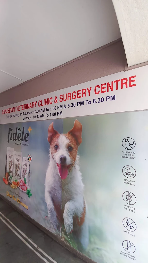 Sanjeevini Veterinary Clinic & Surgery Centre Veterinary Clinic in Padmanabhanagar, Bengaluru — Facility Photo 2