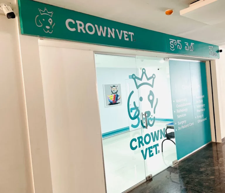 Crown Vet Banjara Hills - Pet Clinic in Banjara Hills, Hyderabad