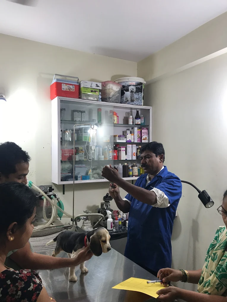 Keerthi Veterinary Clinic Veterinary Clinic in Horamavu, Bengaluru — Facility Photo 3