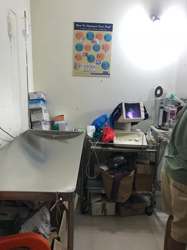 Keerthi Veterinary Clinic Veterinary Clinic in Horamavu, Bengaluru — Facility Photo 2