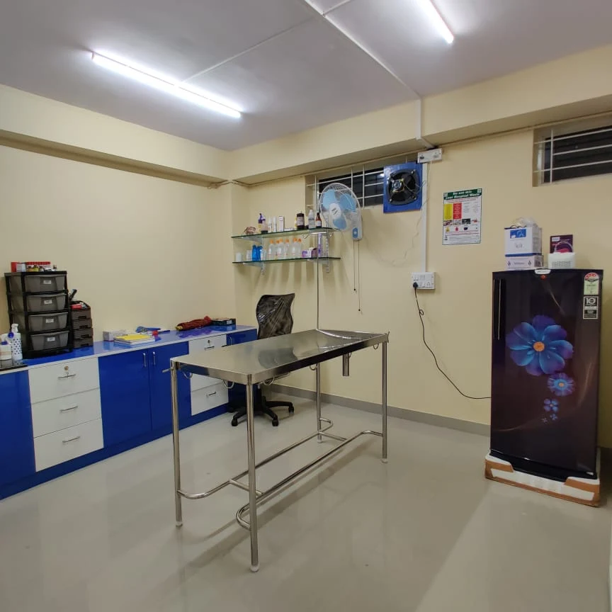 Leela Pet Clinic HSR Layout Veterinary Clinic in HSR Layout, Bengaluru — Facility Photo 5
