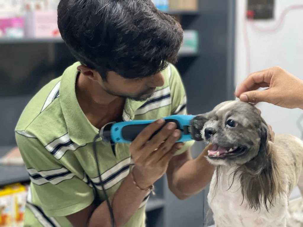 LeelaVet Multispeciality Veterinary Hospital Veterinary Clinic in BTM 1st Stage, Bengaluru — Facility Photo 8