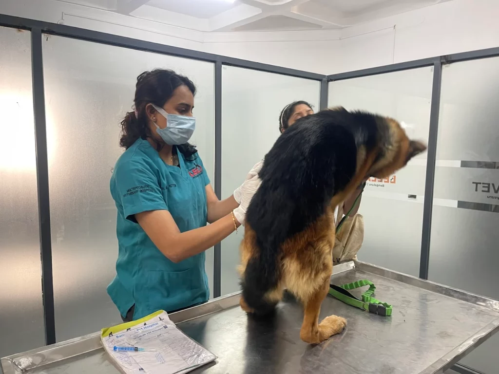 LeelaVet Multispeciality Veterinary Hospital Veterinary Clinic in BTM 1st Stage, Bengaluru — Facility Photo 7