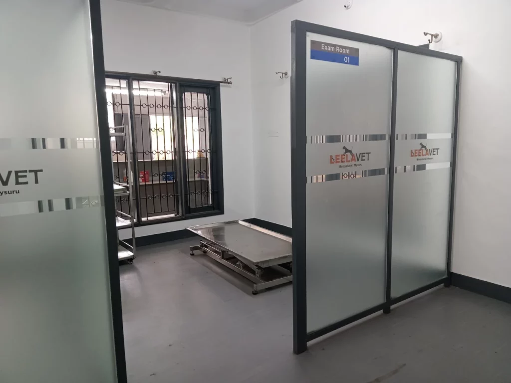 LeelaVet Multispeciality Veterinary Hospital Veterinary Clinic in BTM 1st Stage, Bengaluru — Facility Photo 5