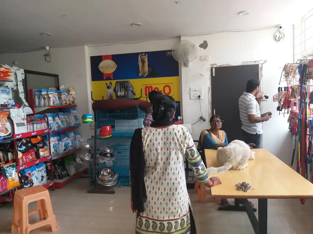 Lifeline Veterinary Clinic Veterinary Clinic in Hyderguda, Hyderabad — Facility Photo 5