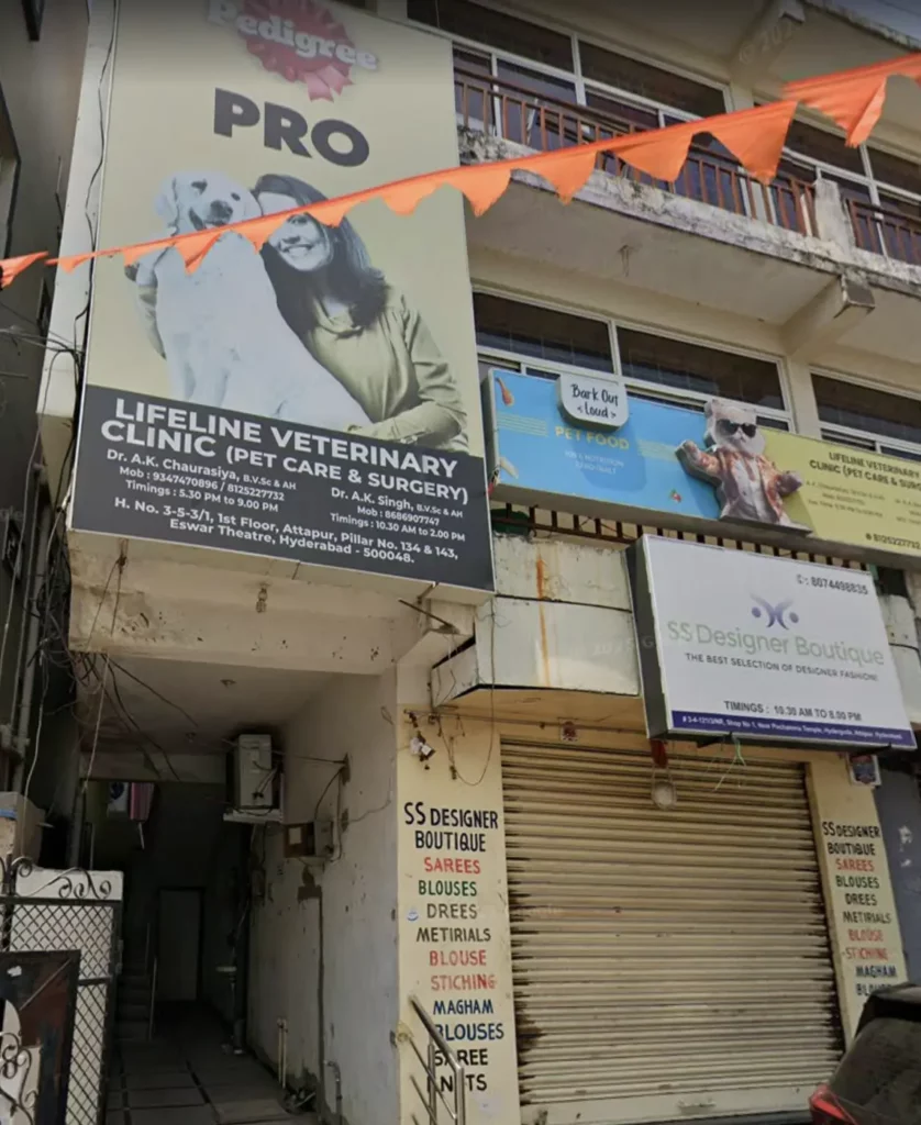 Lifeline Veterinary Clinic Veterinary Clinic in Hyderguda, Hyderabad — Entrance/Facility Photo