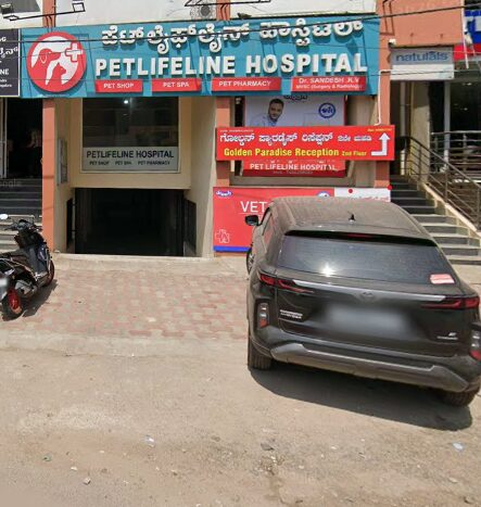 Pet Lifeline Hospital - Pet Clinic in Rajarajeshwari Nagar, Bengaluru