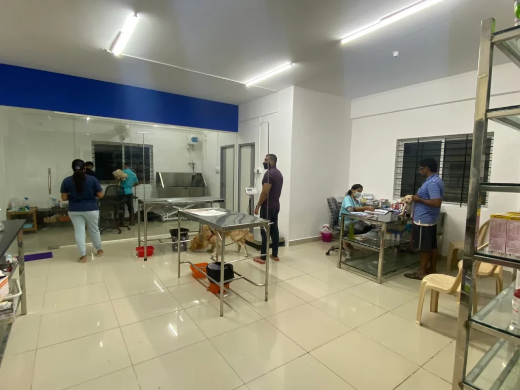 Lucky Paws Veterinary Hospital Veterinary Clinic in Electronic City, Bengaluru — Facility Photo 8