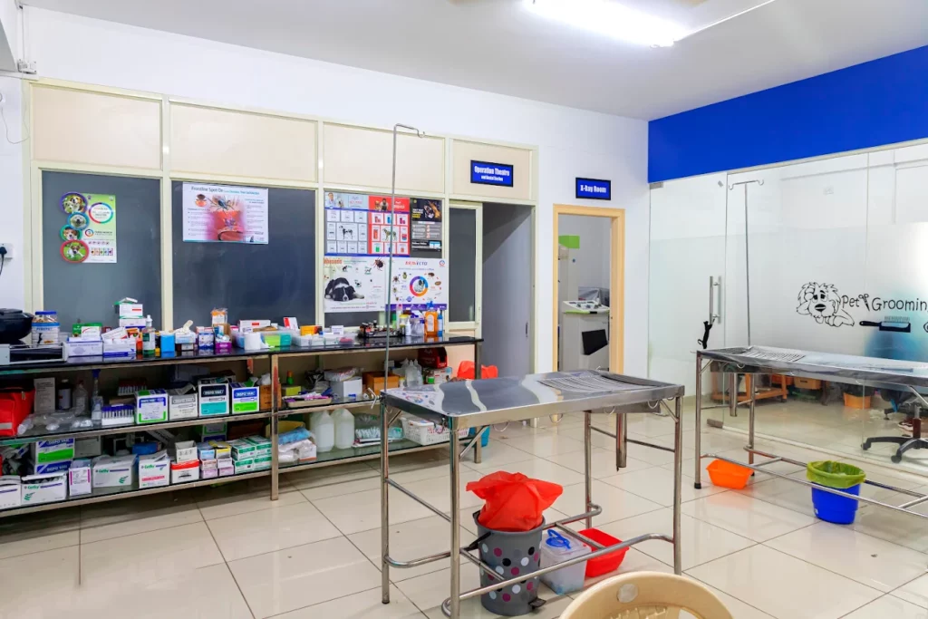 Lucky Paws Veterinary Hospital Veterinary Clinic in Electronic City, Bengaluru — Facility Photo 5