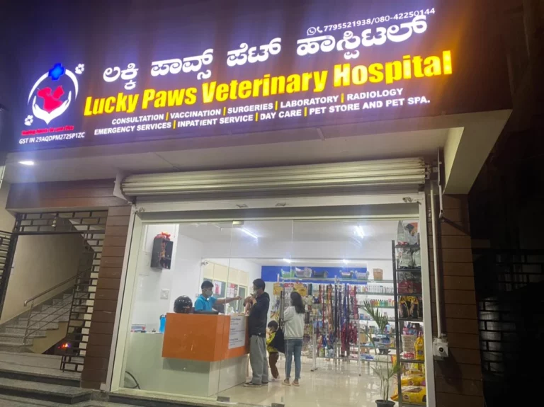 Lucky Paws Veterinary Hospital - Pet Clinic in Electronic City, Bengaluru
